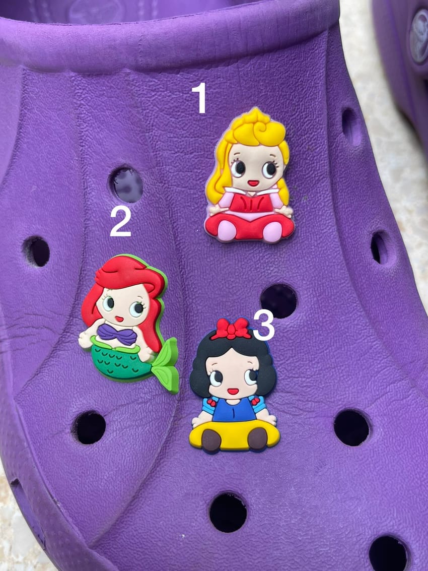 desney princess charm