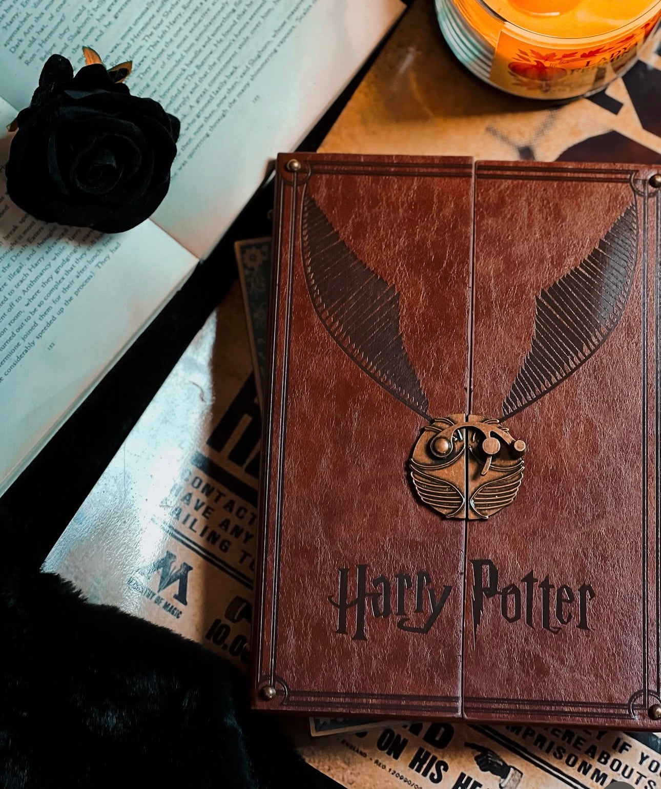 Harry Potter Golden Snitch Notebook