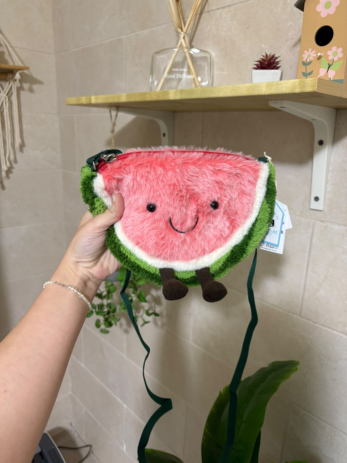 Plush Watermelon Crossbody Bag