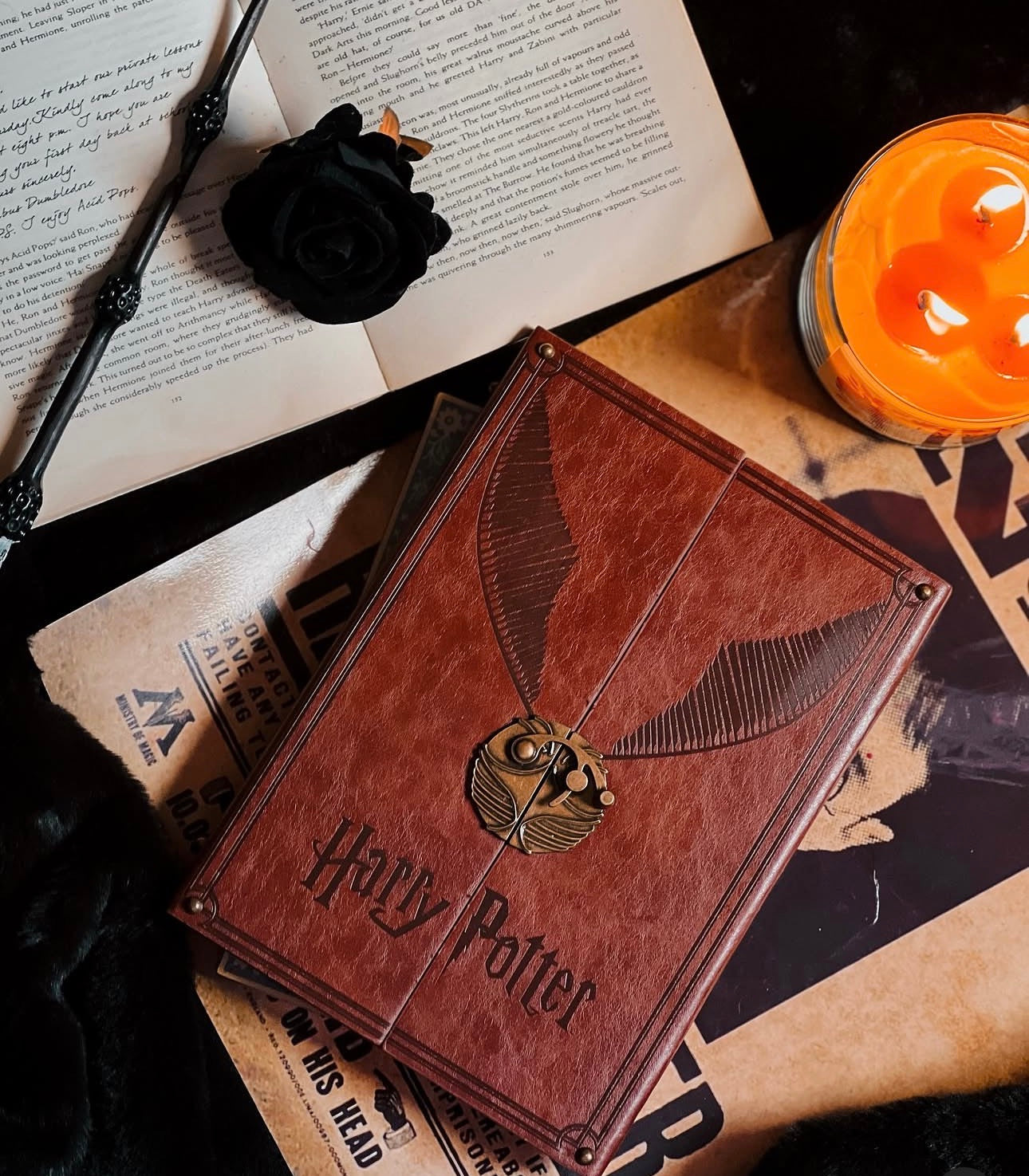 Harry Potter Golden Snitch Notebook