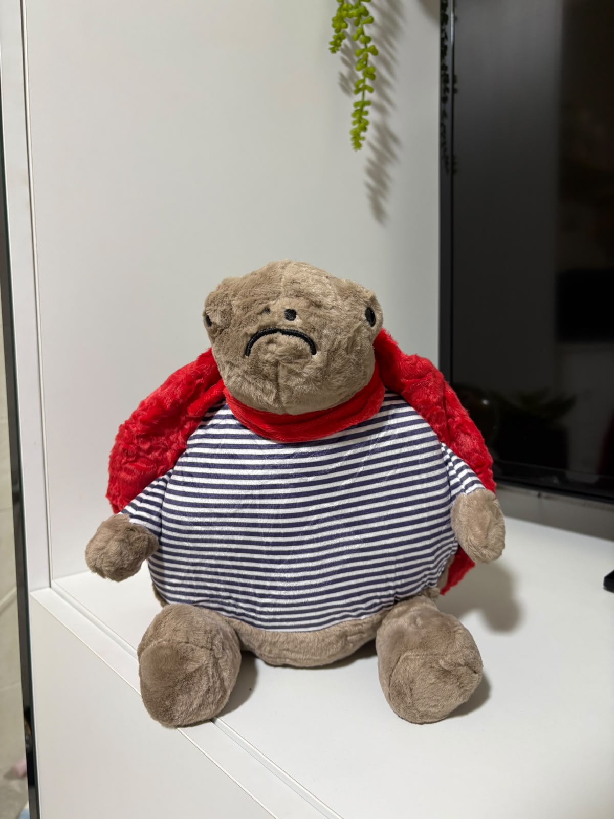 Grumpy Superhero Turtle Plush Toy – Striped Shirt & Red Cape
 - 30 cm