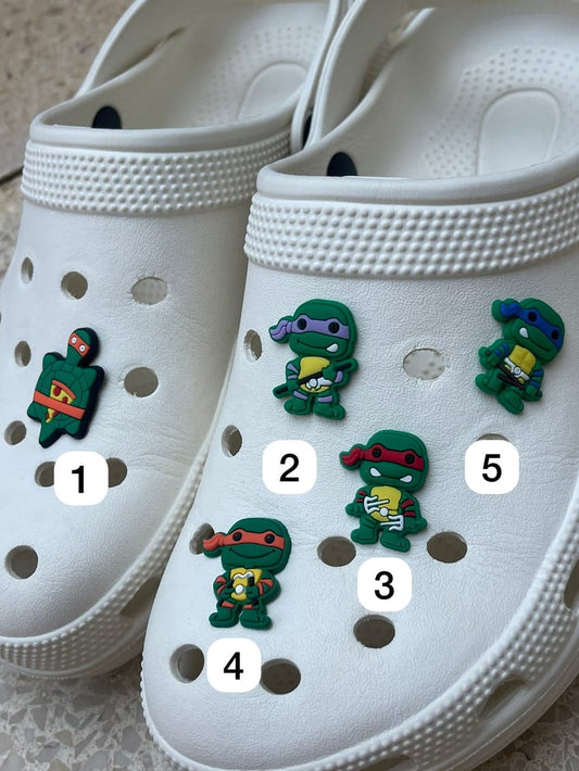 Ninja turtles charm
