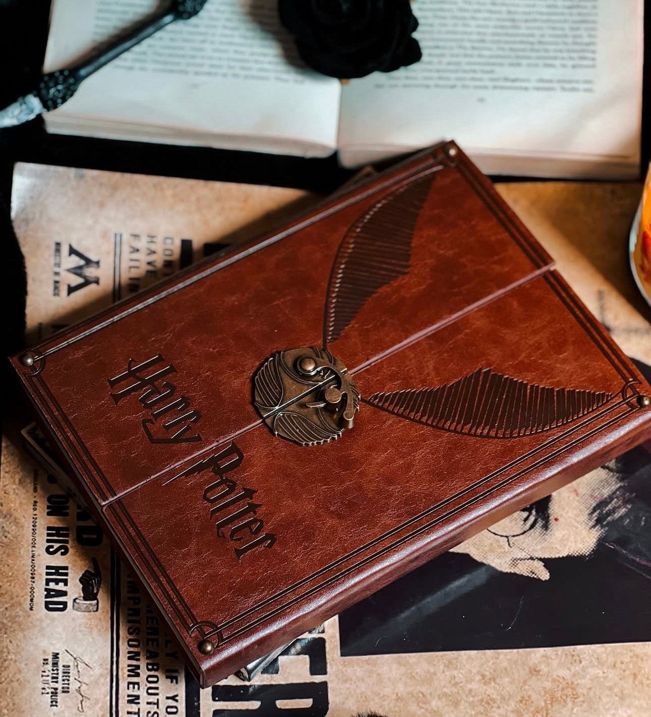 Harry Potter Golden Snitch Notebook