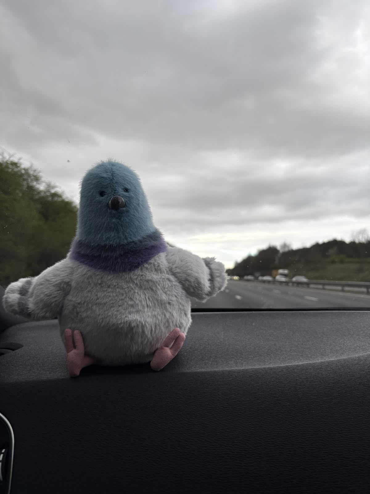 Cute Pigeon Plush Toy – Soft Chubby City Bird Stuffed Animal & Desk Decor