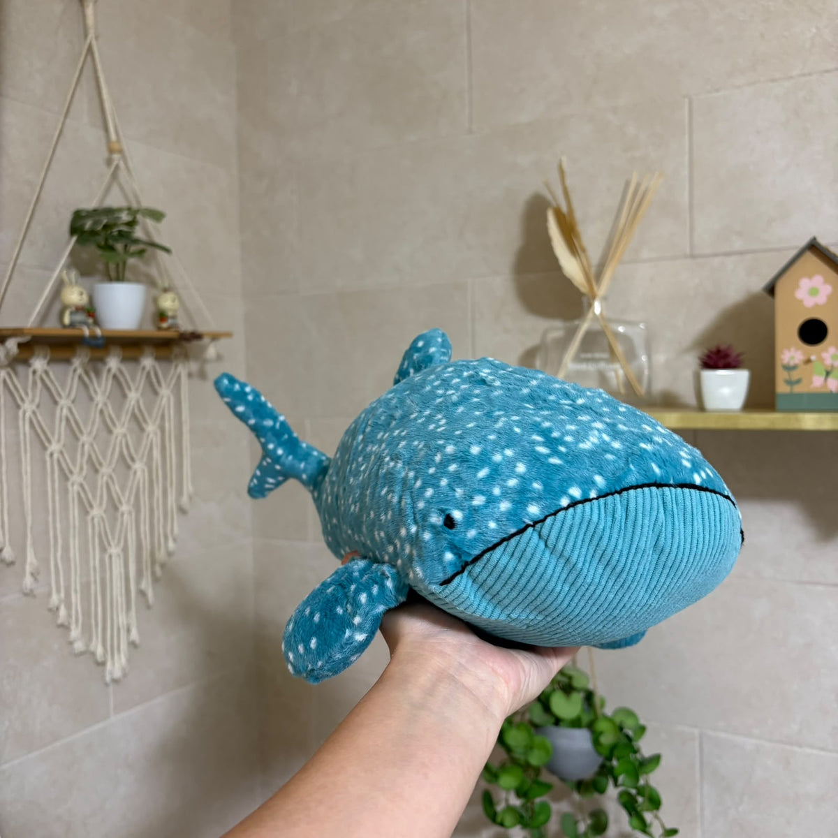 A blue whale-shaped plush toy with white spots is held up by a person's hand in a home setting with beige tiled walls, shelves, and plants.