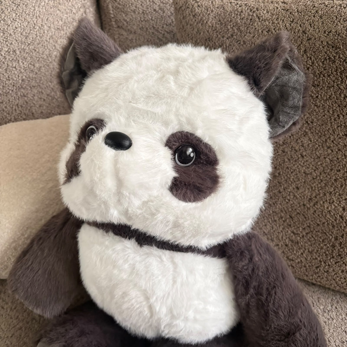 Huge Cute Panda Plush - 60 cm