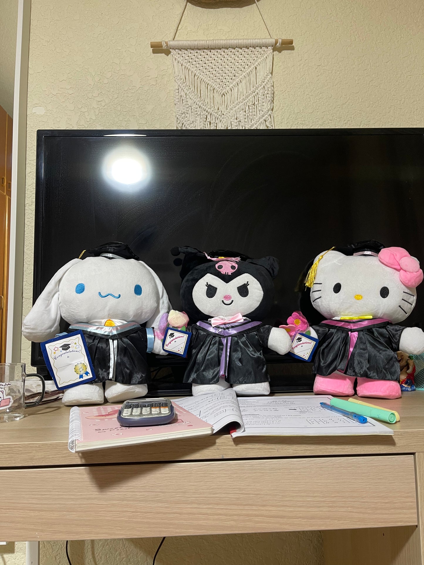 Hello kitty graduation Plush