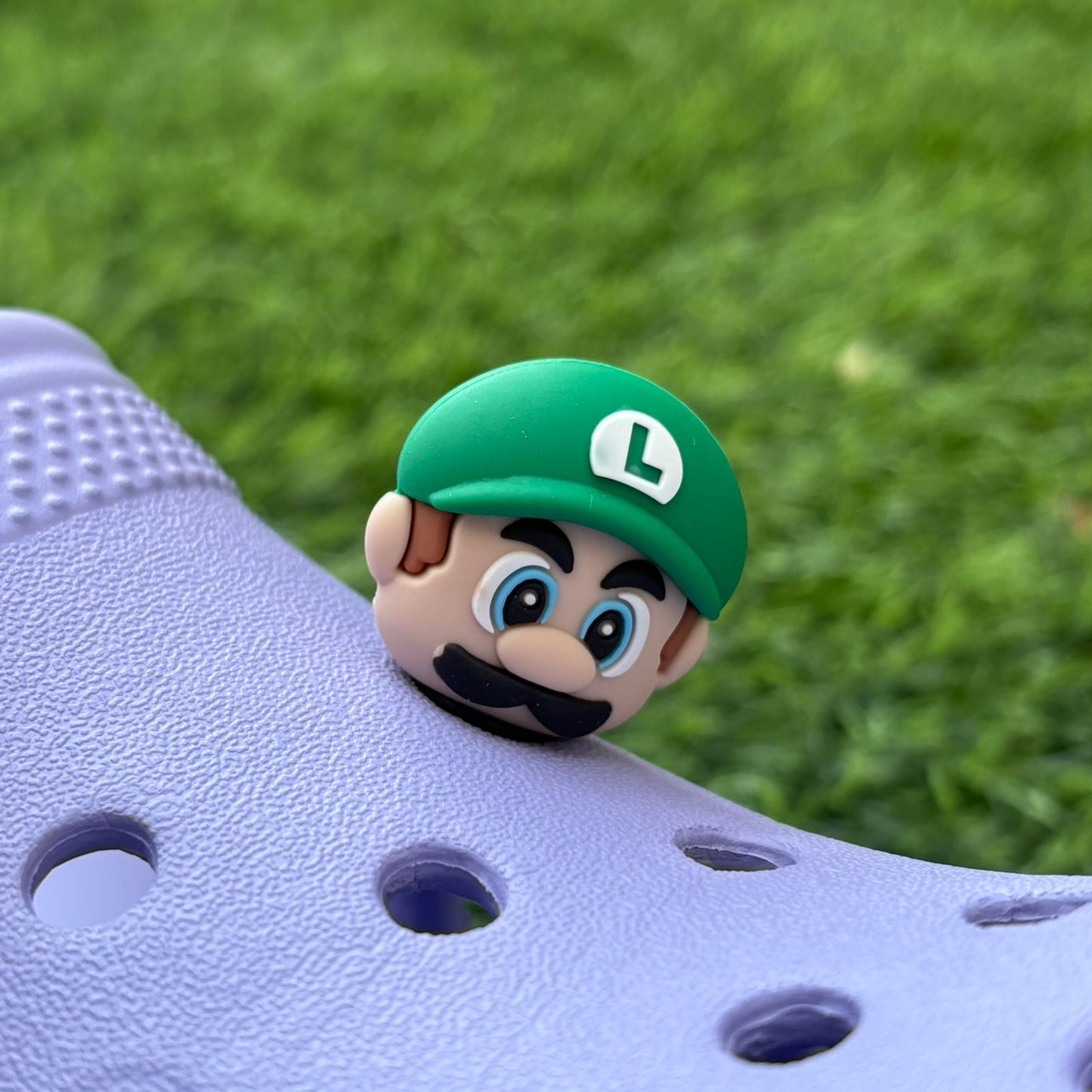Luigi 3D CHARM