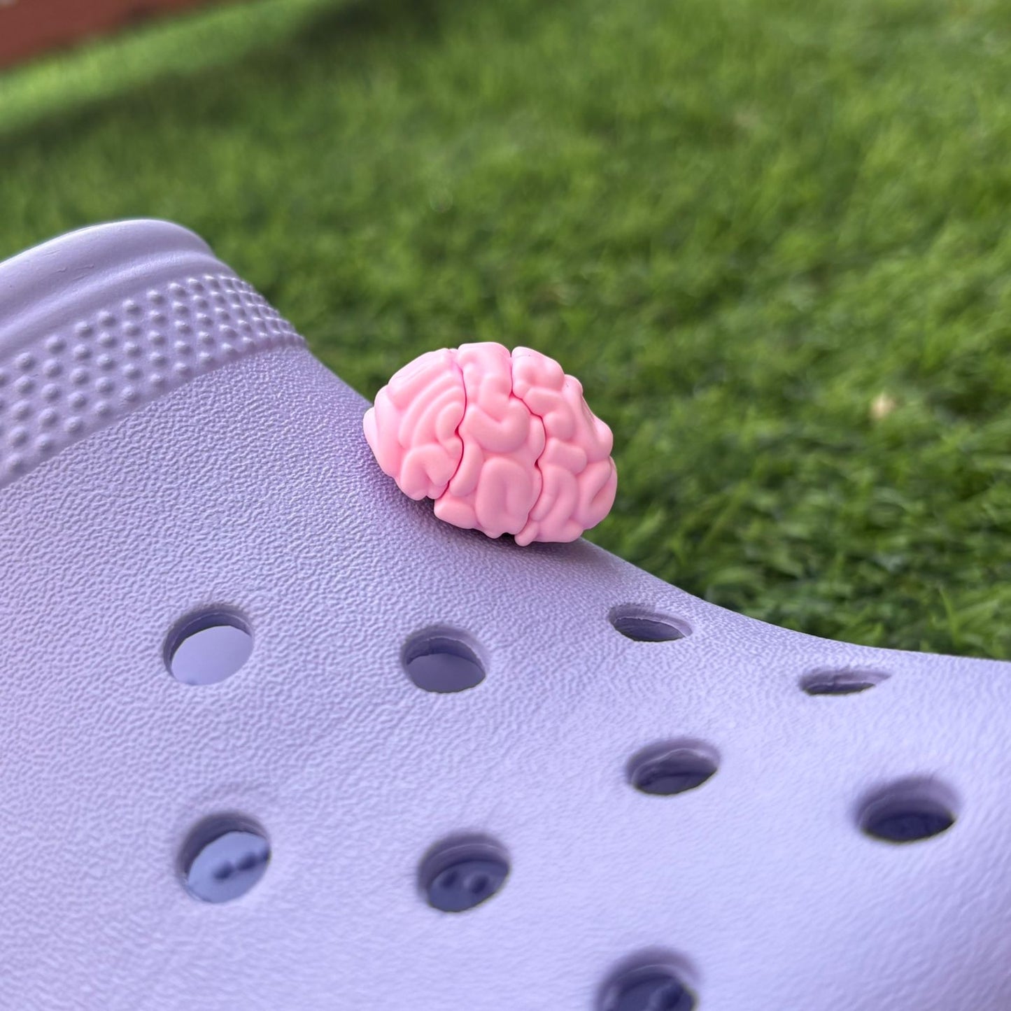 brain 3D CHARM