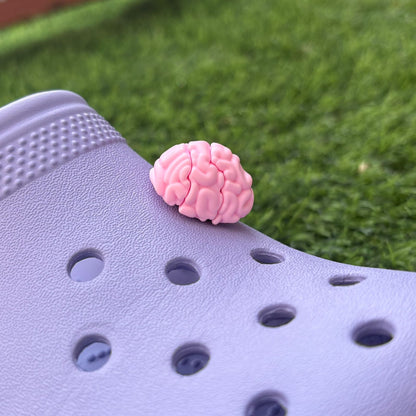 brain 3D CHARM