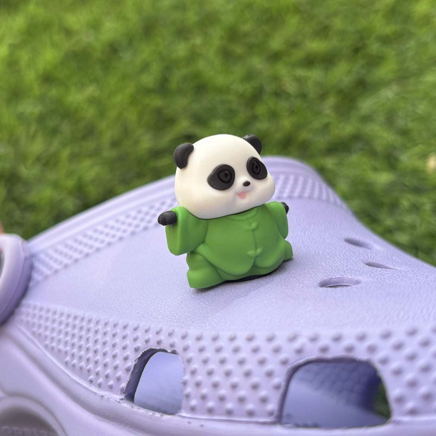 Panda 3D CHARM