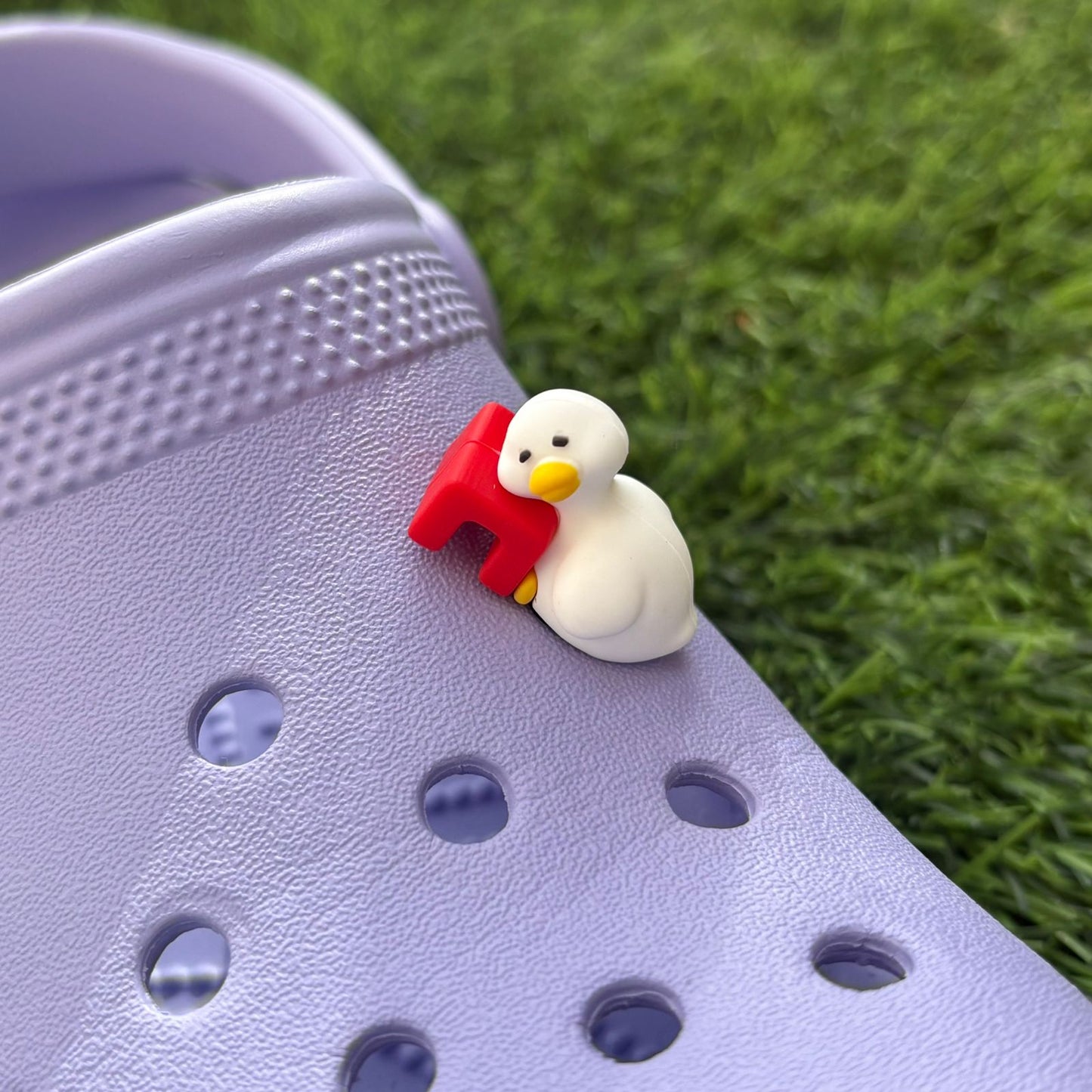 Sleepy Duck 3D CHARM