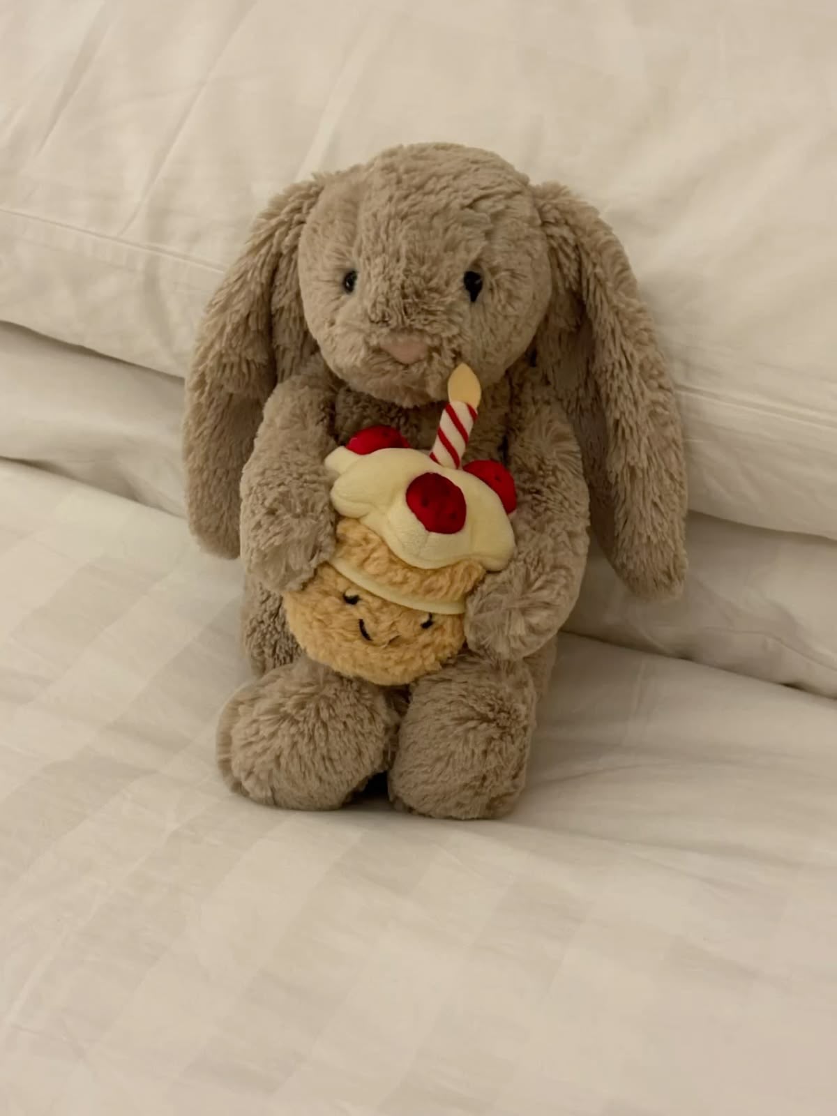 Plush Birthday Bunny with Cupcake – Cute Stuffed Animal Gift - 30 cm