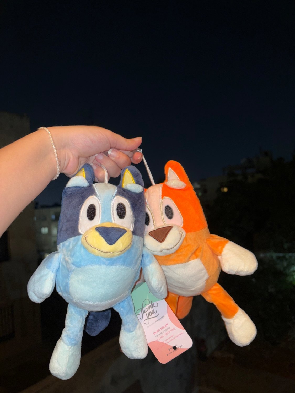 Bluey and Bingo Plush - 20 cm - Pinky Promise