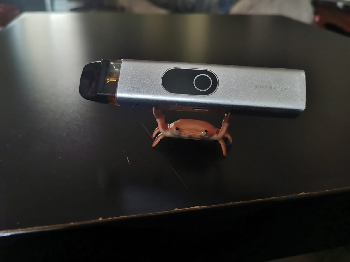 Crab pen holder - Photo 9 | Pinky Promise