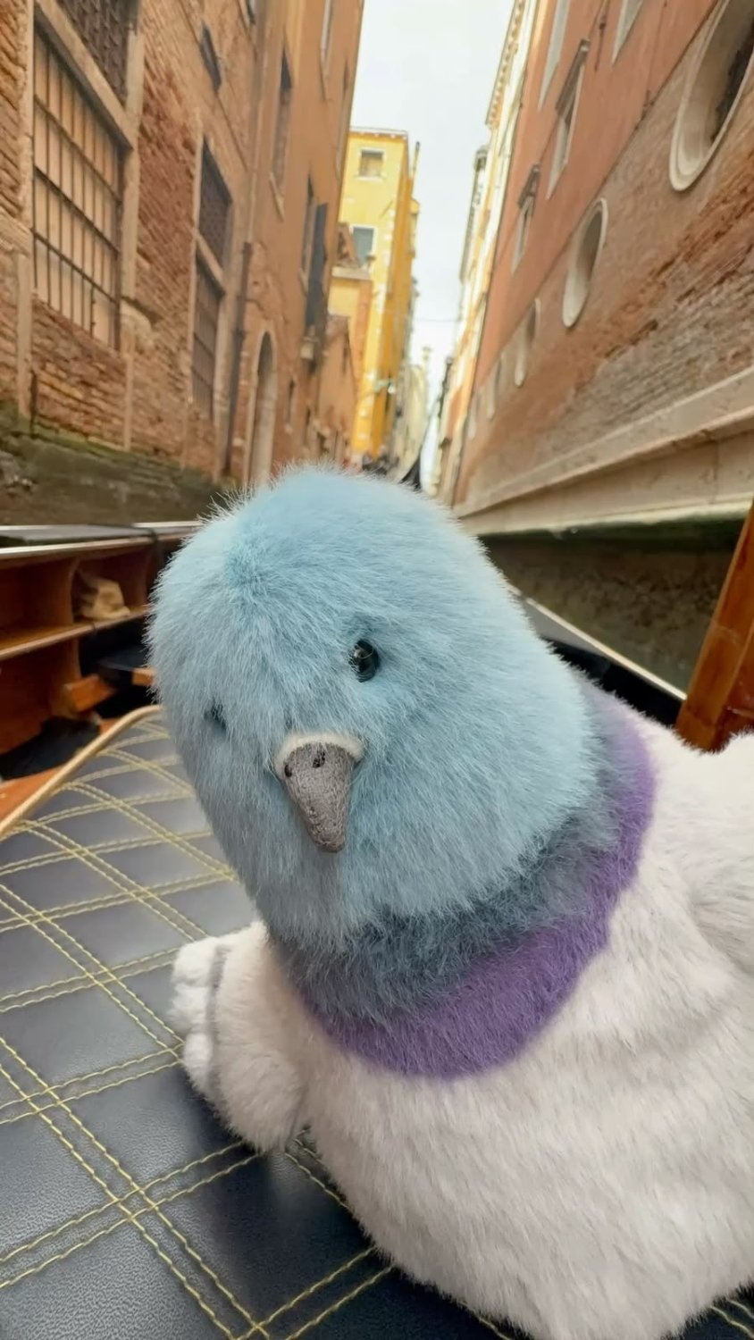 Cute Pigeon Plush Toy – Soft Chubby City Bird Stuffed Animal & Desk Decor - Pinky Promise