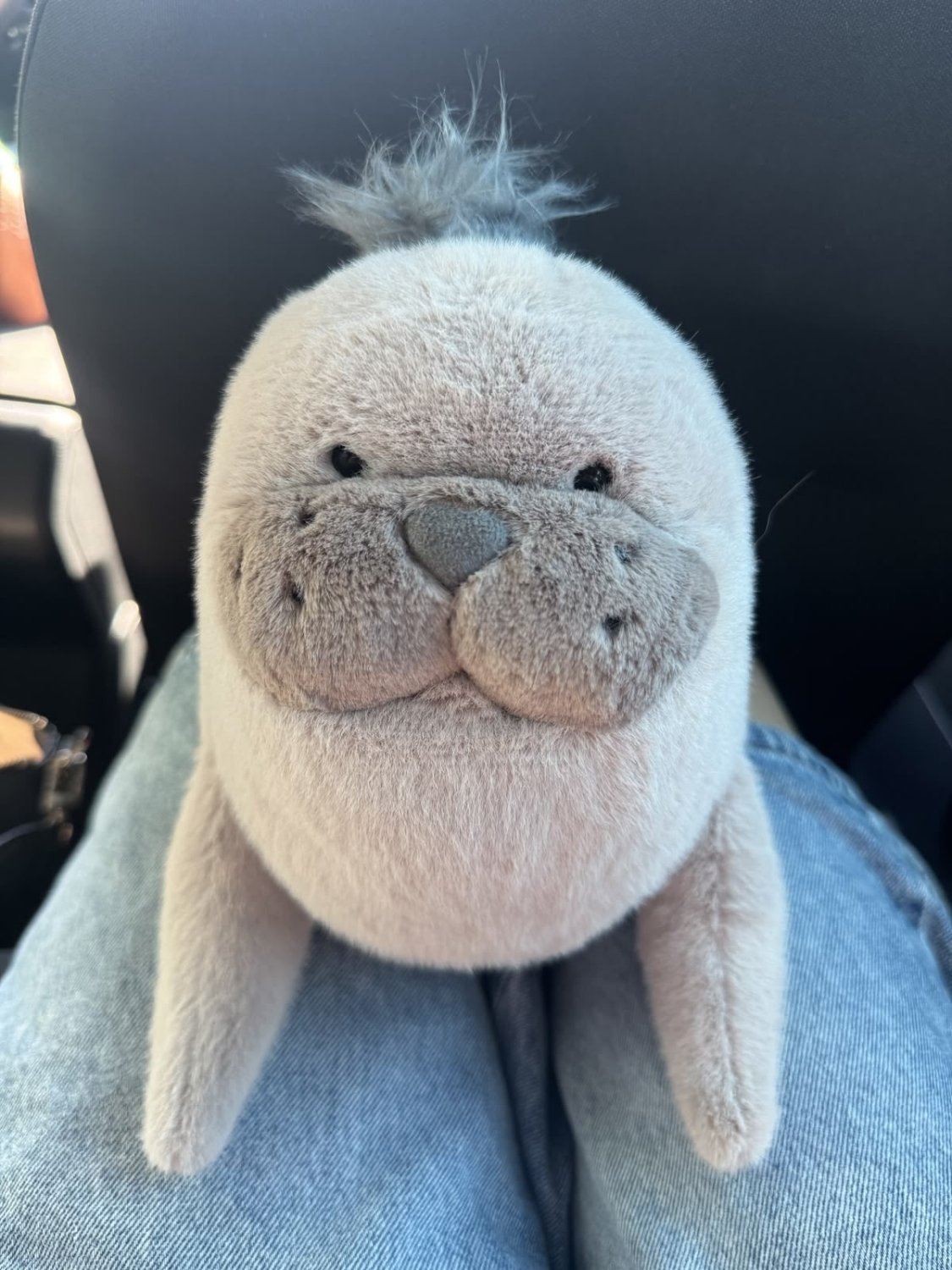 Cute Seal Plush Toy – Soft Chubby Sea Lion Stuffed Animal & Bedroom Decor - 30 cm - Pinky Promise