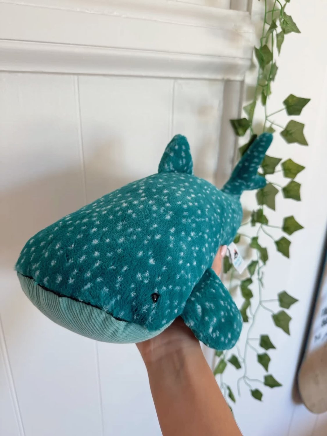 A teal whale-shaped plush toy with white spots being held in a person's hand, set against a white paneled wall with a green ivy vine hanging down.