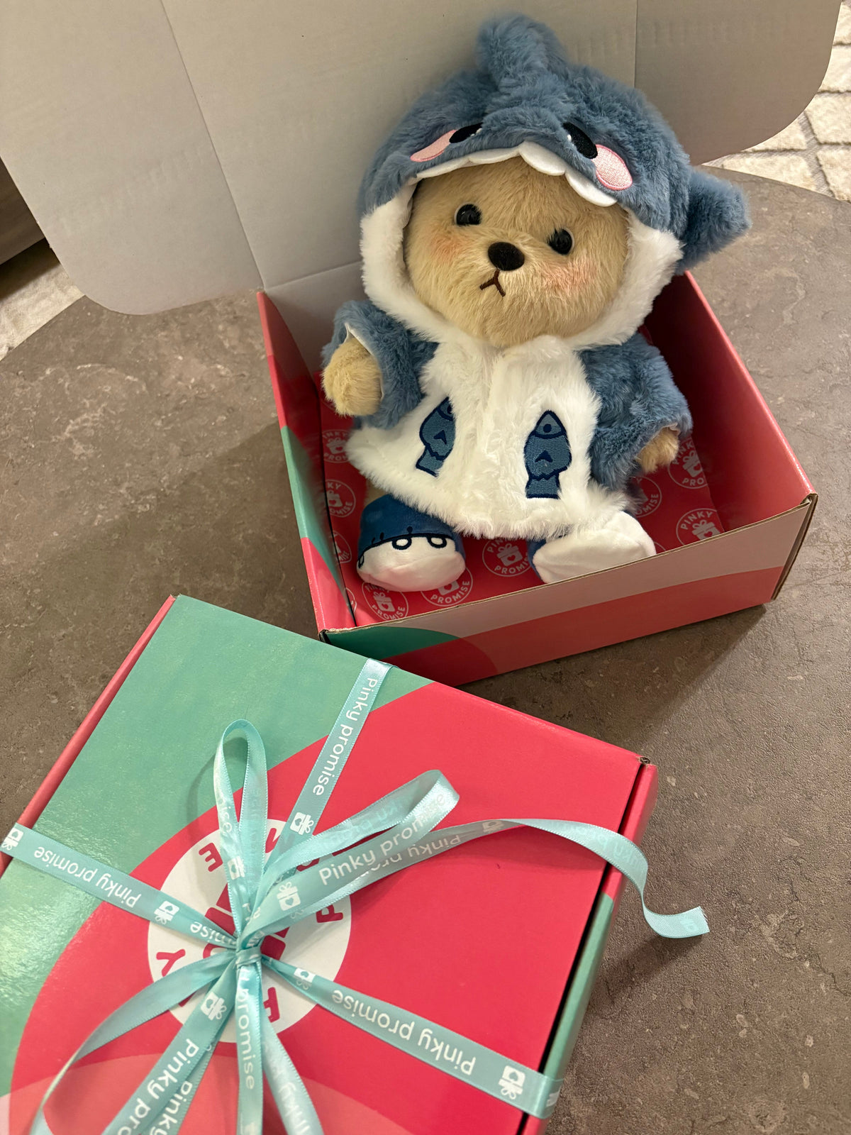 Love Me Bear Plush Toy – 28 cm - Photo 23 | Pinky Promise