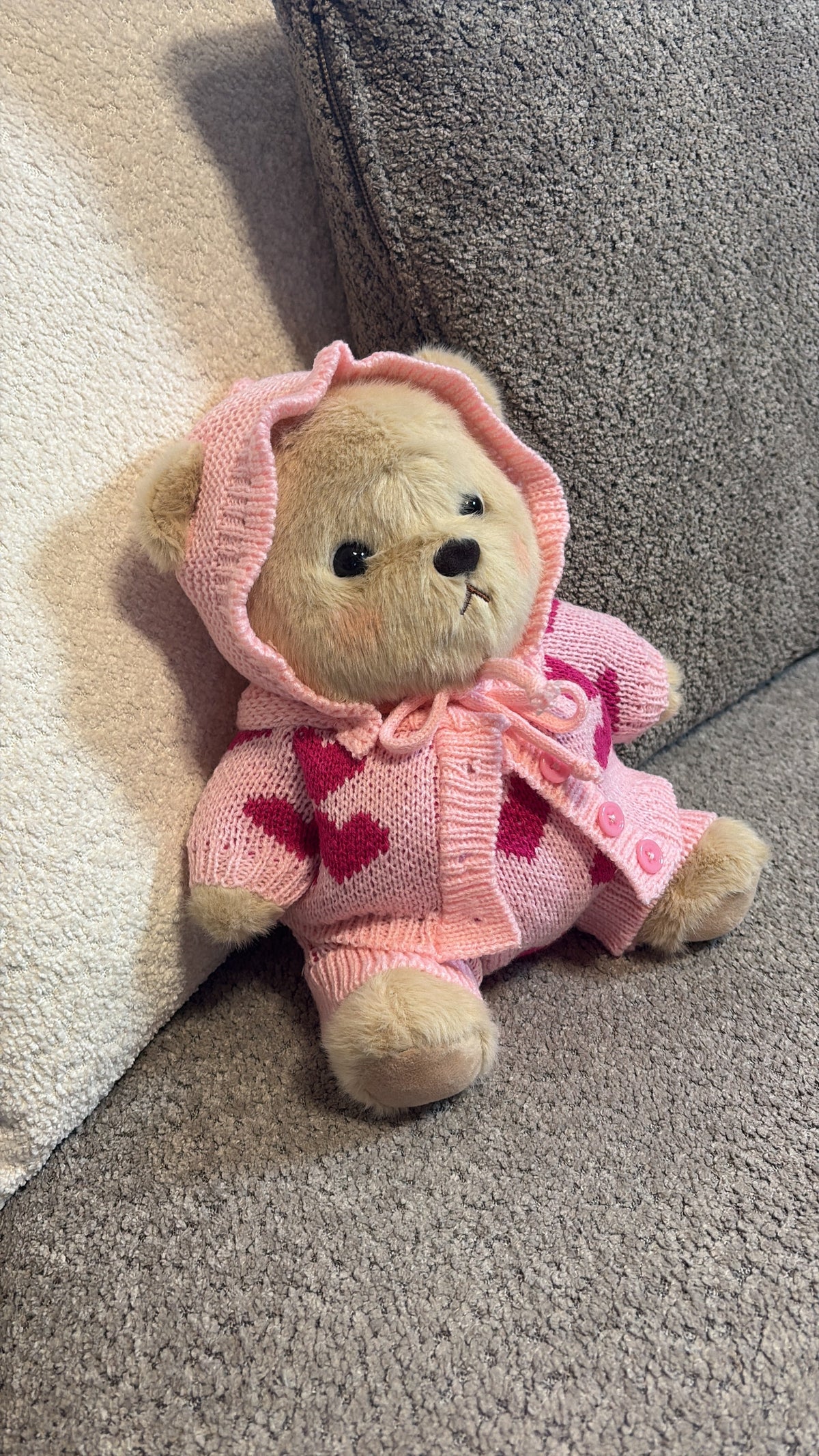 Love Me Bear Plush Toy – 28 cm - Photo 35 | Pinky Promise