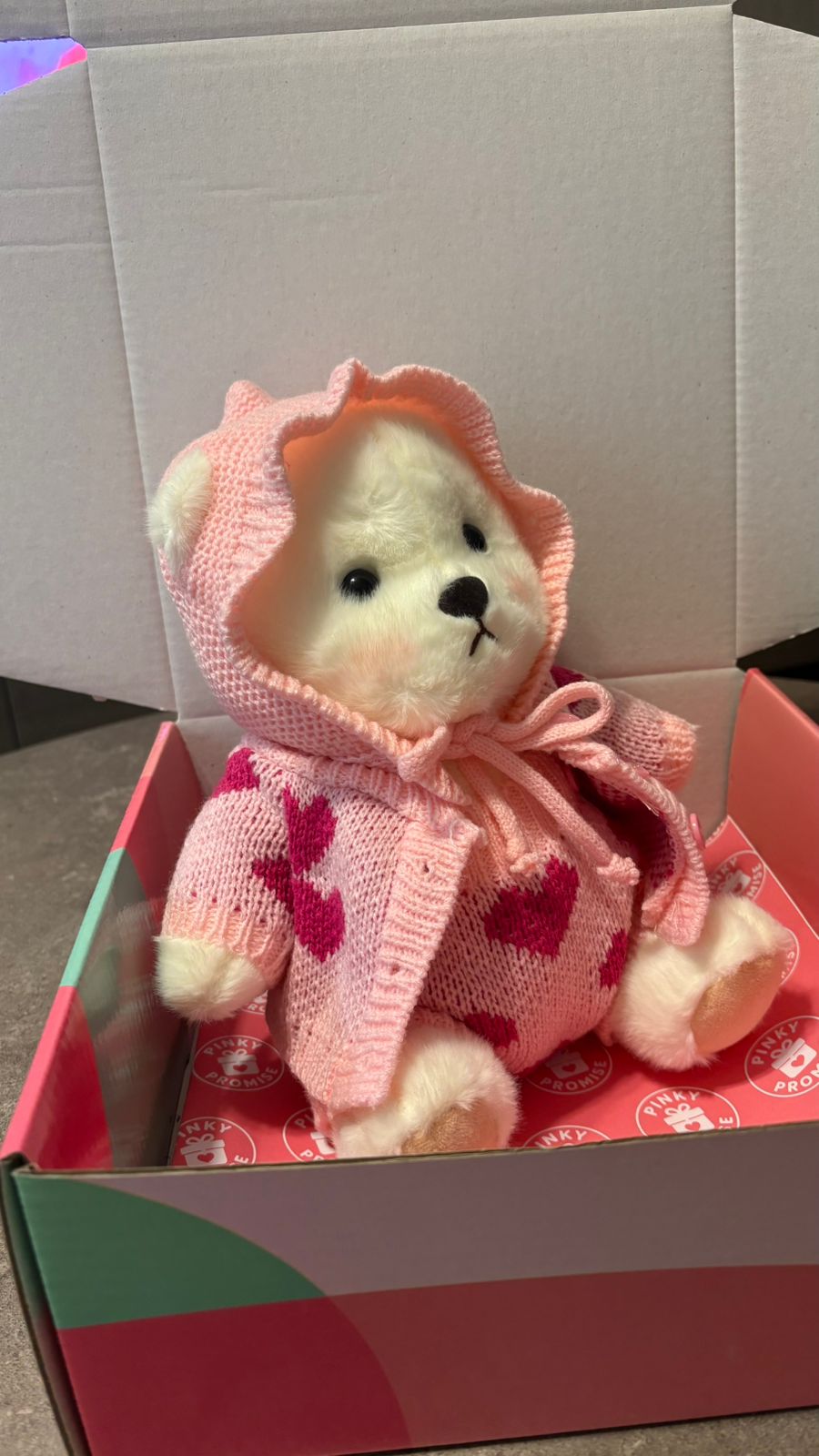 Love Me Bear Plush Toy – 28 cm - Photo 43 | Pinky Promise